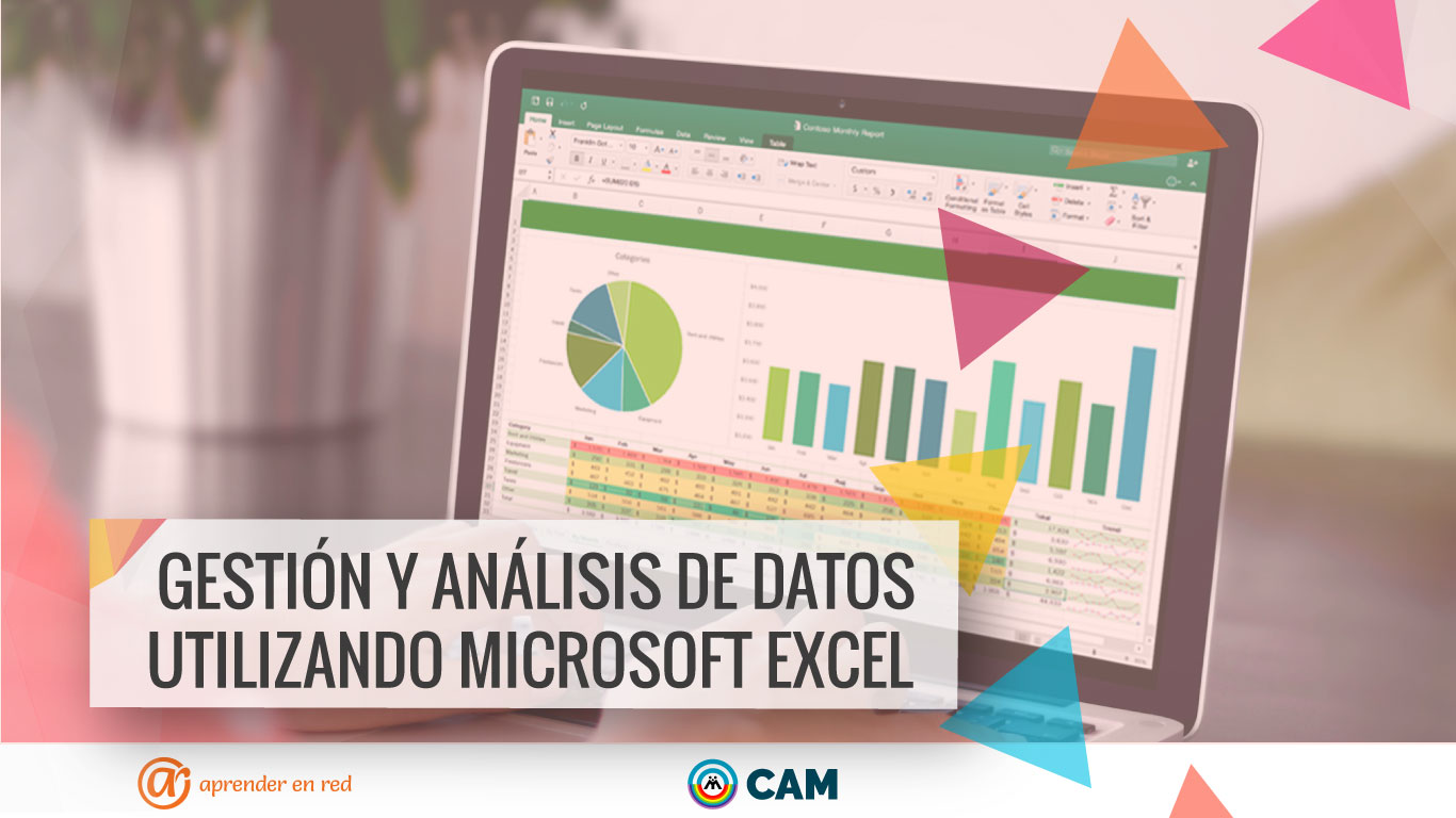 018-Gestión-y-análisis-de-datos-utilizando-Excel